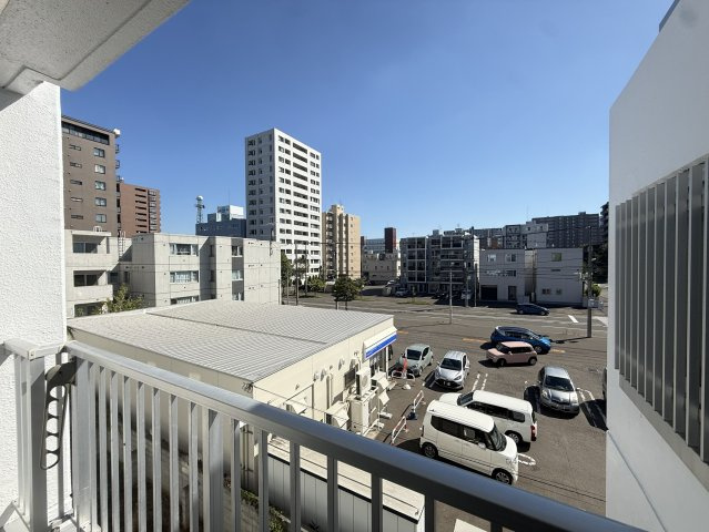 ライオンズマンション円山の展望
