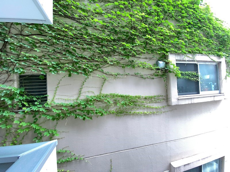 Le Coeur Ebisuの外観