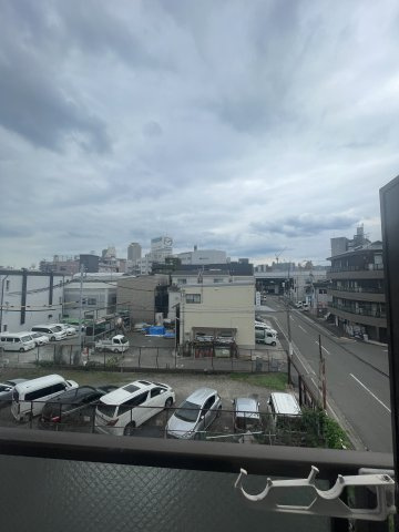ドルフェスの展望