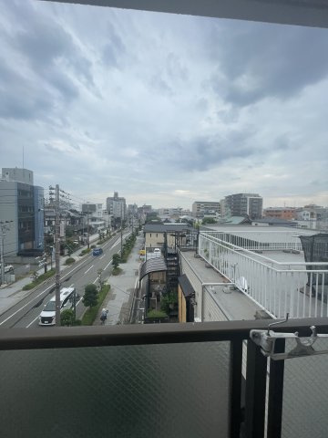 ドルフェスの展望