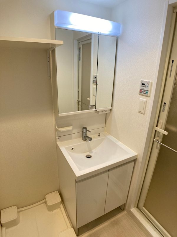 レオンコンフォート難波南の洗面所