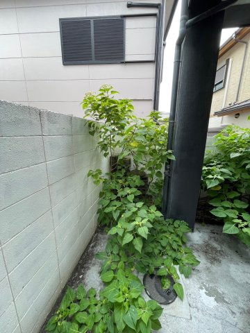 和歌山市　一棟アパートのその他