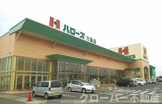 オレンジ窓香の周辺|ハローズ六条店さんまで780m