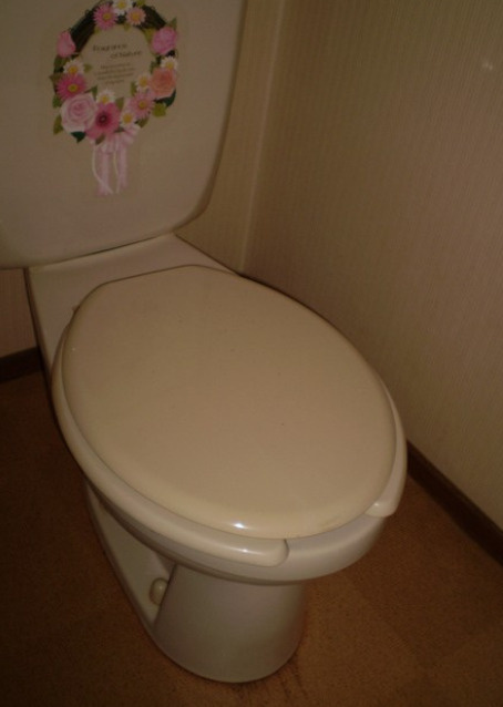 コーポ若葉荘のトイレ|落ち着いた色調のトイレです