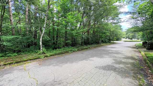 浅間ハイランドパーク 売土地の外観