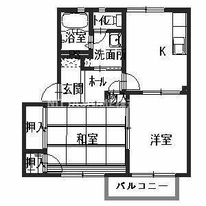 テラス花水木