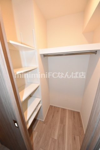 ブランズ北堀江プレイスの収納|参考写真