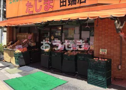 ヴェル　ドミール（東京）の周辺|エネルギースーパーた…まで239m