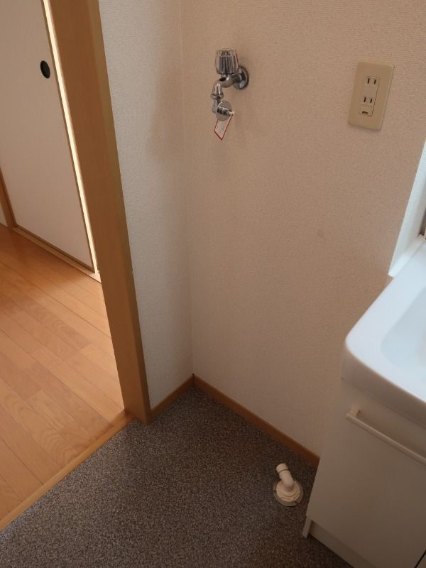 プリムローズのその他