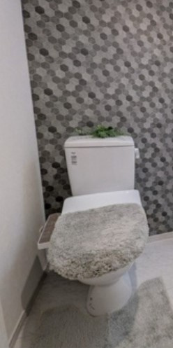 春の陽のアリアのトイレ
