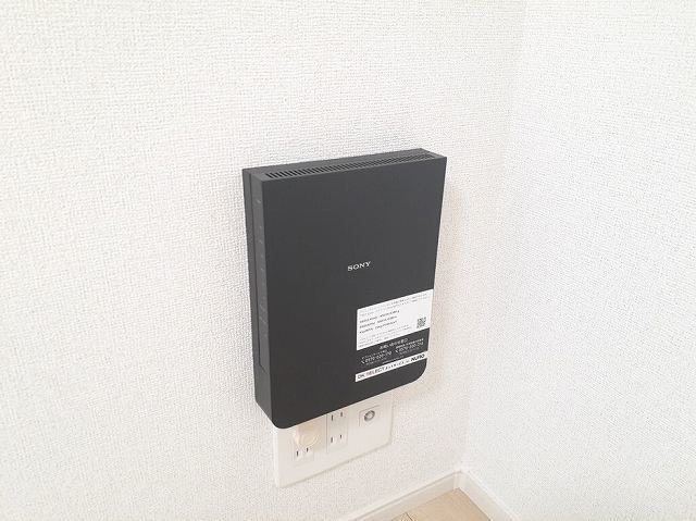 プラシード上泉のその他