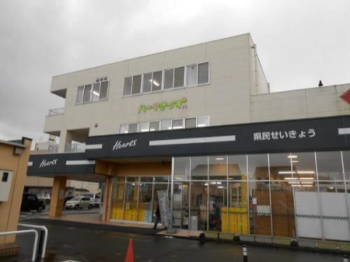 紫陽花のその他