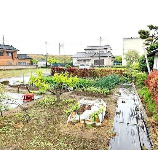 加須市本郷の周辺