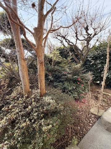 久喜市栗原4丁目の庭|お庭に植木があり、季節を感じます！