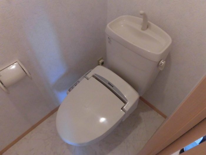 ロイヤルパーク　弐番館のトイレ|落ち着いたトイレです