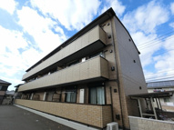 ラクの画像