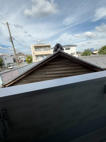 セレスタの展望