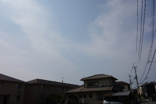 サワーローズの展望