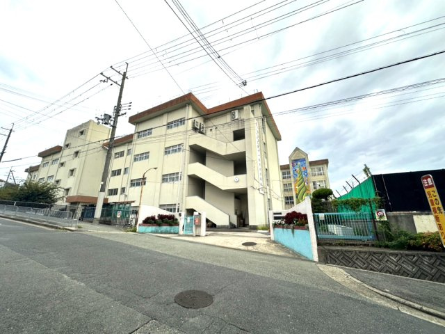 豊中市上野東2丁目　新築戸建ての前面道路含む現地写真|豊中市立第十一中学校まで徒歩約30分