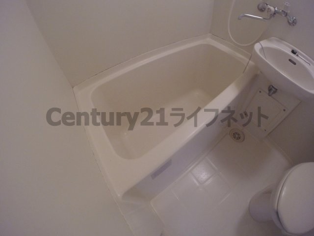 【浴室】 | マンションパインハウス