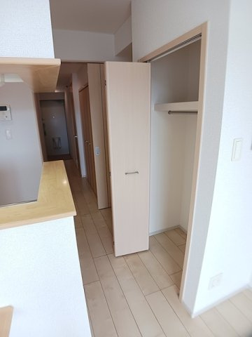 ケイマイティのその他