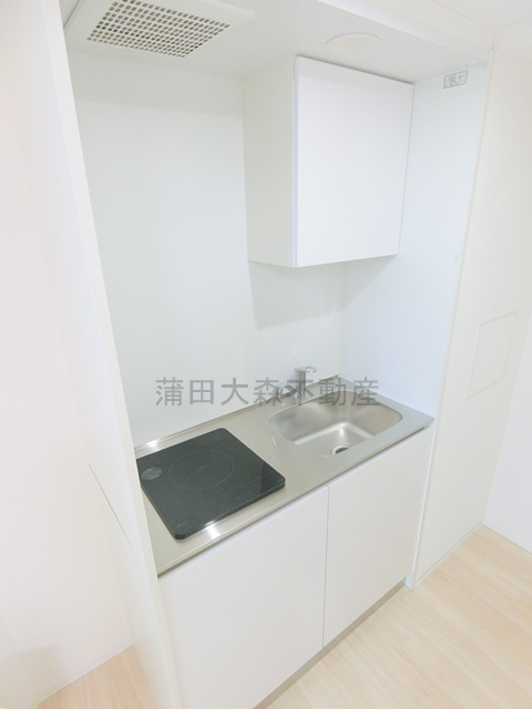 COCOCUBE武蔵新田のキッチン|2口IHシステムキッチン