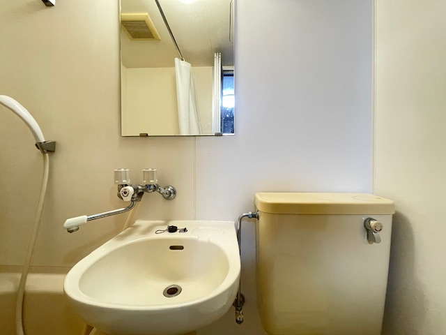 豊中市箕輪１丁目の賃貸マンションの洗面所