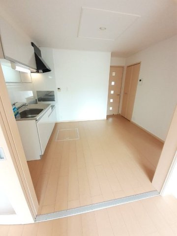 サン　ブローテ　ジンのその他
