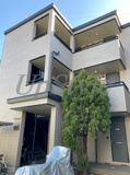 リファイン桜の画像