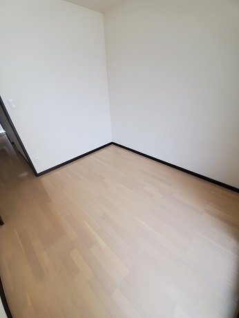 レオネクスト大久手Ⅱのその他