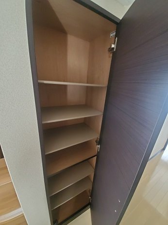 レオネクスト大久手Ⅱのその他