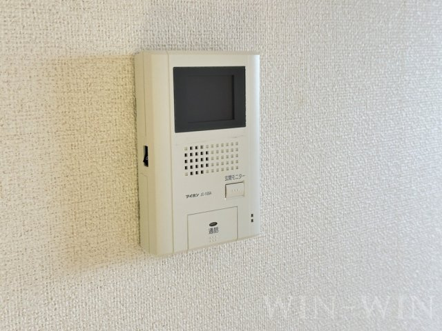ブルーベリーのセキュリティ