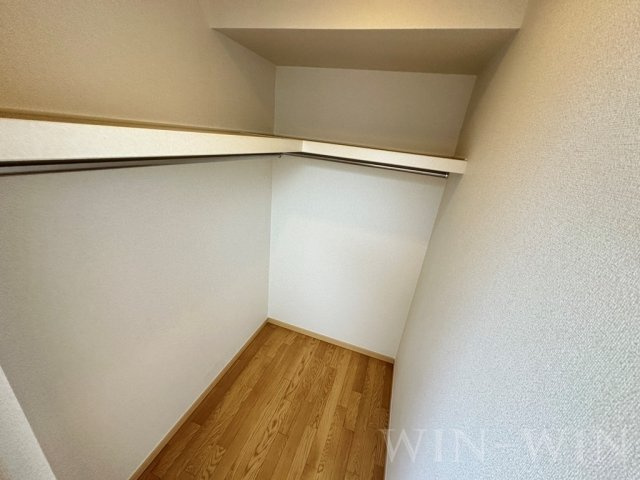 ブルーベリーの収納