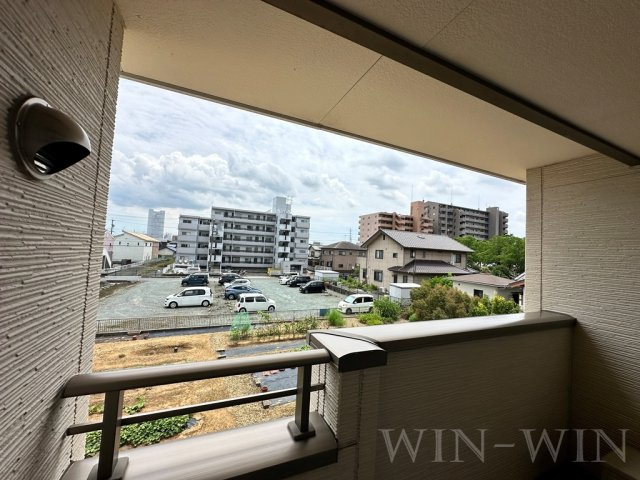 ブルーベリーの展望