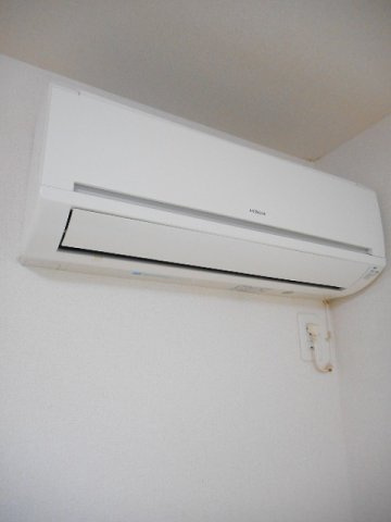 ラフテルのその他