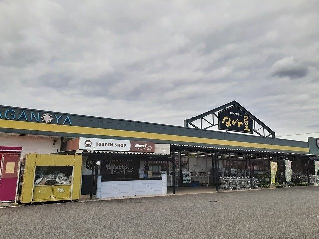 スイート　スプリング　Ⅲ　Ａの周辺|ながの屋まなび野店まで1100m