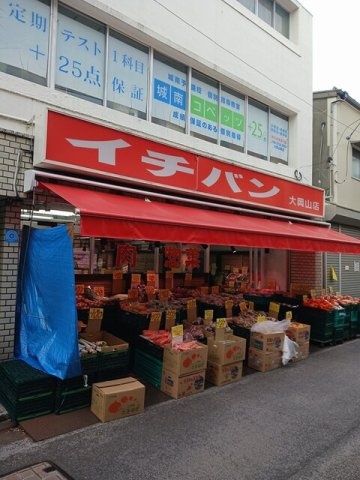 Ｐｕｒｅｔｅ大岡山（ピュリテの周辺|イチバンまで169m