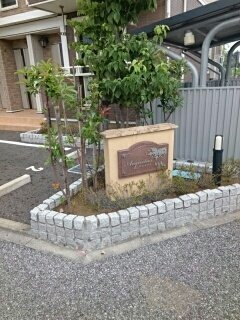 アエキタスのエントランス