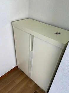 入間市東藤沢７丁目の賃貸マンションの玄関