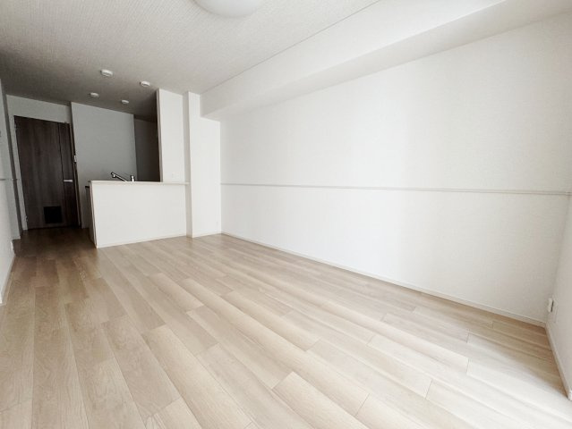 ドゥジェムのその他