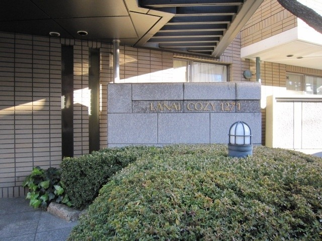 ＬＡＮＡＩ　ＣＯＺＹ　1271