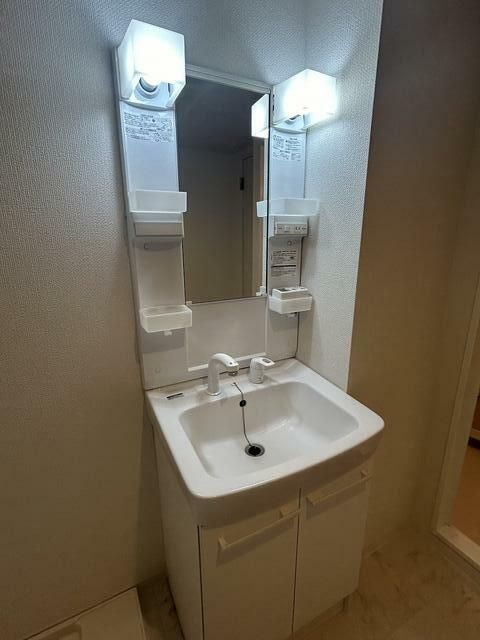リアン駅前マンションの洗面所