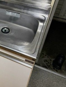 すずらんハイツの玄関