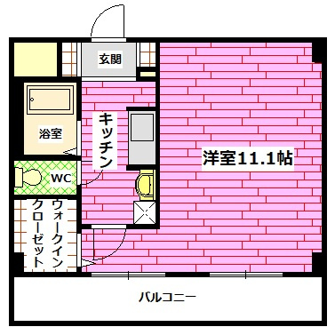 安芸郡海田町南大正町の賃貸マンションの間取り