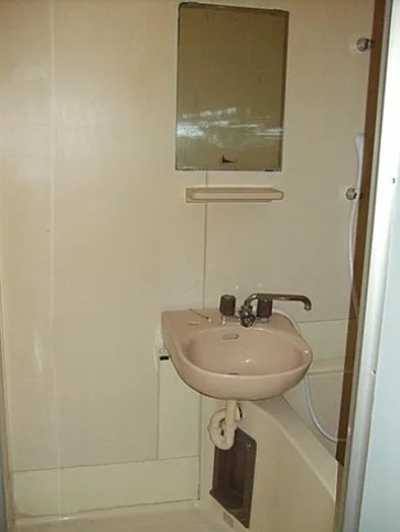 千葉市中央区院内１丁目の賃貸マンションの洗面所