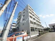 グリシーヌの画像
