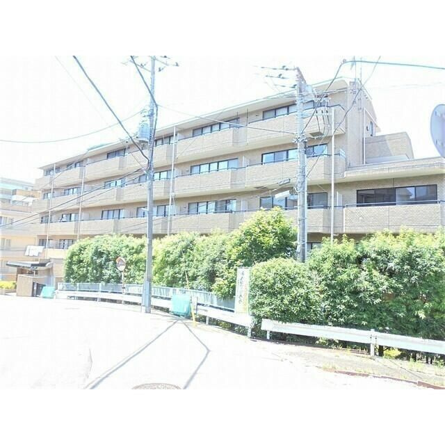 ジュノーヒルのその他