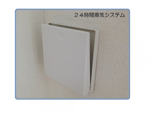 フィオーレのその他