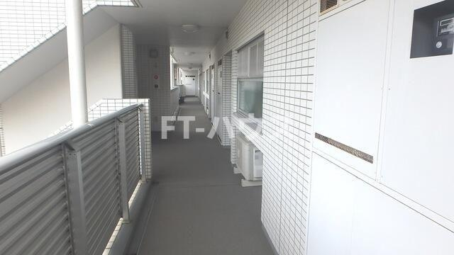 ＳｉｎｃｅｒｉｔｙＭＵＲＡＫＡＭＩのその他
