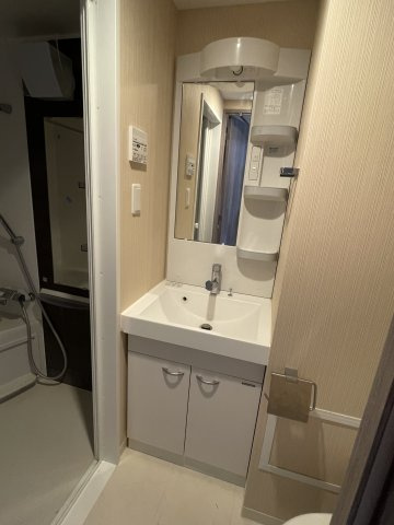 稲城市東長沼の賃貸マンションの洗面所|スペースが確保できる洗面所です